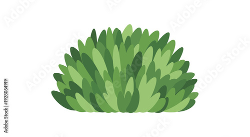 Green Leafy Plant Foliage.