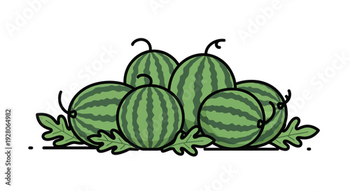 Green Watermelon Fruit Bunch.