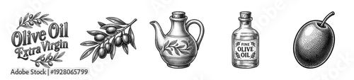 Vintage woodcut style olive oil collection featuring glass bottles ceramic jars and branch illustrations for culinary design