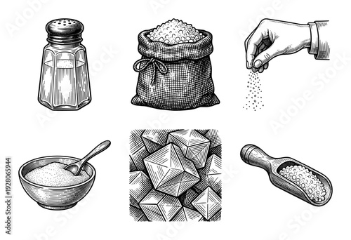 Vintage engraving style collection of salt and sugar elements featuring shaker, sack, pinch, bowl, crystals, and wooden scoop.