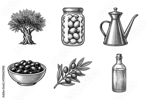 Set of vintage olive oil and fruit illustrations featuring a Mediterranean tree, branch, jar, bowl, and glass bottle in black and white woodcut style.