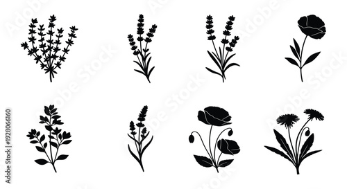 Collection of diverse botanical silhouettes featuring various wildflower species