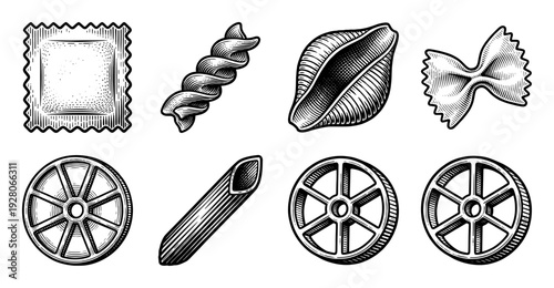 Vintage engraving style collection of assorted dry pasta shapes including penne fusilli ravioli farfalle and rotelle on white background