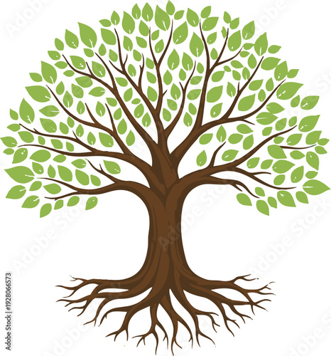Green Tree of Life Illustration with Roots and Vibrant Leaves on White Background