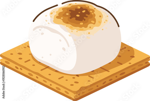 Delicious toasted marshmallow on graham crackers sweet treat