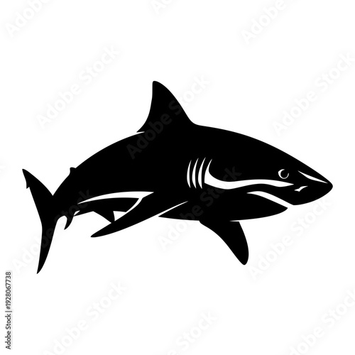 A black silhouette of a shark on a white background
