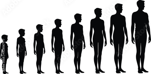 Male growth stages silhouette from child to adult isolated on white background, human development and aging process illustration for education and biology concept