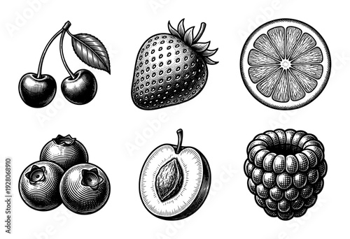 Vintage engraving style collection of assorted fruit and berry illustrations featuring cherries, strawberry, citrus slice, blueberries, plum, and raspberry.