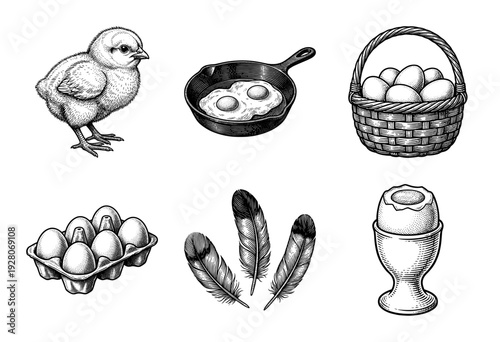 Vintage style woodcut engraving set featuring a baby chick, fried eggs in a skillet, feathers, and eggs in a basket, carton, and cup.