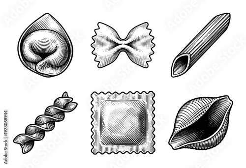 Vintage engraving illustration of assorted Italian pasta shapes including penne farfalle fusilli ravioli and tortellini on a white background