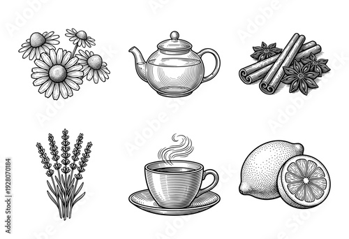 Collection of hand drawn herbal tea ingredients and brewing equipment in a vintage woodcut engraving style