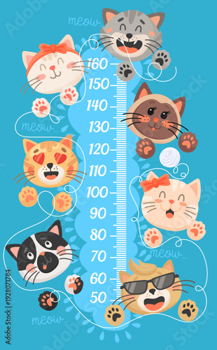 Cartoon kids height chart, funny cats and kittens