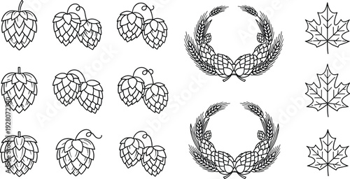 Hops and wheat icon set, brewery logo elements, maple leaf vectors, beer ingredients, harvest wreaths, organic farming symbols, agricultural line.