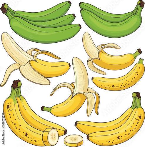 Collection of ripe and unripe bananas arranged together with some peeled and sliced