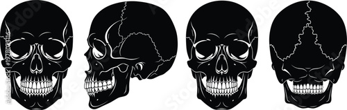 Human skull silhouette, anatomical vector illustration, medical study design, forensic science graphic, cranial bone art, educational anatomy icon