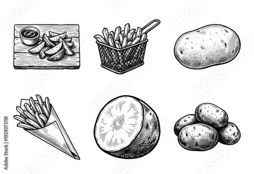 Set of hand drawn potato sketches including whole tubers, sliced wedges, and french fries in vintage woodcut engraving style