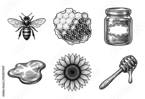 Honey production and beekeeping collection featuring hand drawn woodcut style illustrations of a bee honeycomb jar sunflower and dipper