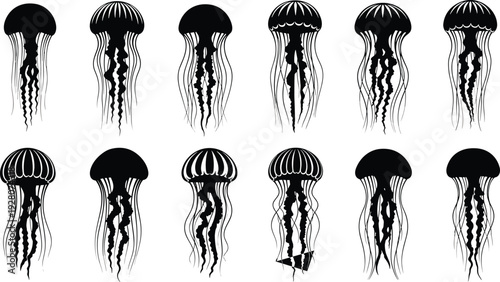 Jellyfish vector silhouette set, marine life collection, underwater creature icons, medusa illustrations isolated on white background, sea life nature elements.