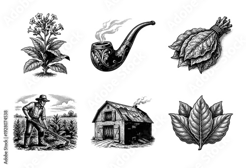 Vintage tobacco farming and cultivation illustration set featuring botanical plants, drying barn, farmer, and smoking pipe in a detailed woodcut engraving style.