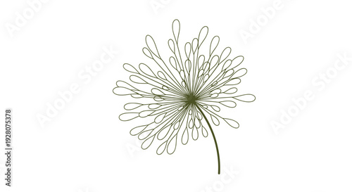 Minimalist dark green line drawing of a delicate dandelion seed head or spherical flower for modern botanical and organic branding.