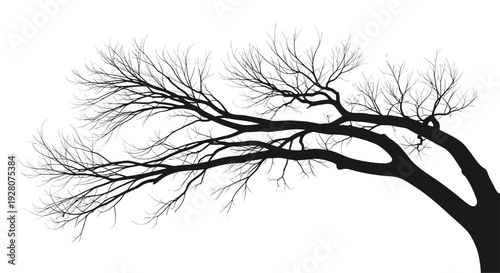 Black silhouette of a large tree branch with numerous smaller twigs and offshoots for nature themed graphic design and compositions.