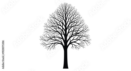 Bold black silhouette of a leafless deciduous tree with a dense network of branches and twigs against a clean white background.