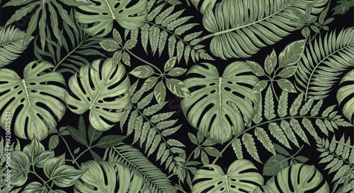 Dense tropical jungle foliage pattern with monstera leaves and ferns on a dark background for elegant wallpaper and textile design projects.