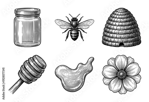 Vintage woodcut style beekeeping set featuring honey bee, skep hive, glass jar, wooden dipper, liquid spill, and flower blossom.
