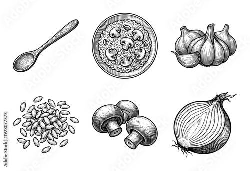 Vintage engraving style mushroom risotto ingredients collection featuring wooden spoon rice grains garlic onion and fungi