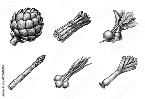 Set of six vintage botanical illustrations of garden vegetables in a detailed black and white woodcut engraving style including artichoke asparagus radish onions and leek.