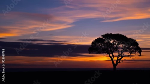 Dramatic sunset with silhouette tree