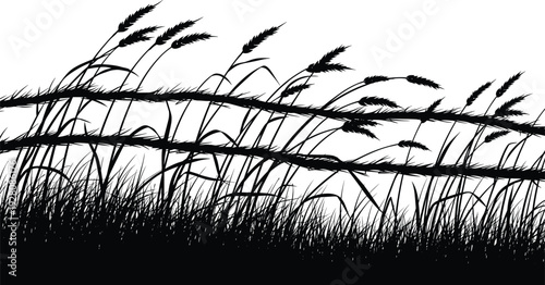 Black silhouette of grass and wooden fence, countryside landscape illustration isolated on white background nature rural scene design