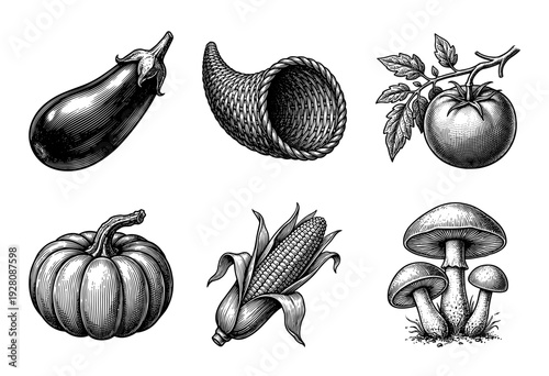 Vintage woodcut style collection of autumn harvest vegetables including pumpkin eggplant corn tomato mushrooms and cornucopia