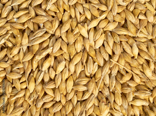Cereal seeds isolated on white background. pile oats, wheat, barley close-up