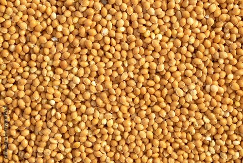 Millet seeds - feed for birds, close up, top view