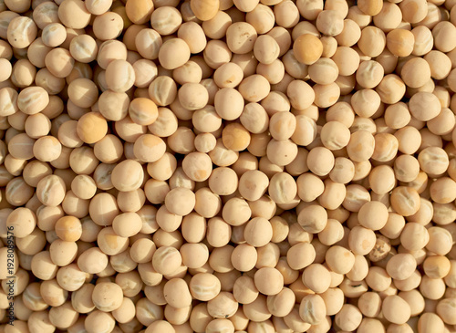 peas seed with white background