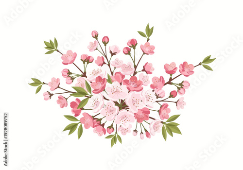 Cluster of pink and white cherry blossoms with green leaves on brown branches