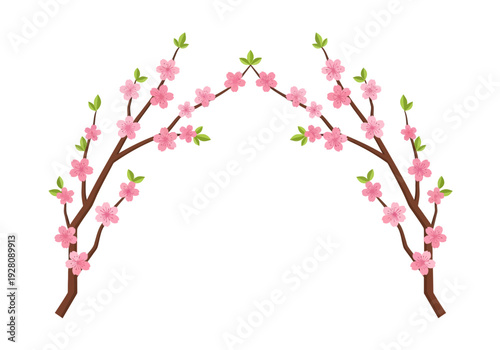 Symmetrical branches of pink cherry blossoms forming an arch against white