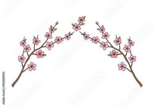 Two curving branches of pink cherry blossoms meet in the center