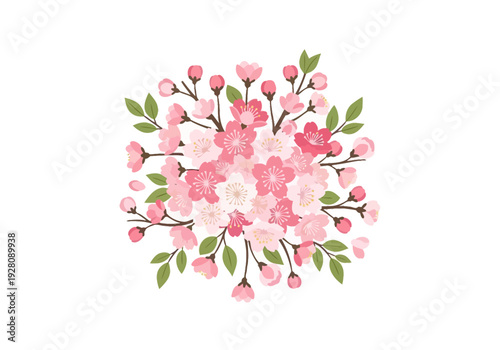 A cluster of pink and white cherry blossoms with green leaves on a white background