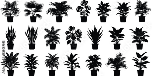 Set of Black Potted Houseplant Silhouette Icons Isolated on White Background for Interior Design Greenery Decor Gardening Graphics Tropical Foliage and Botanical Vector Illustration
