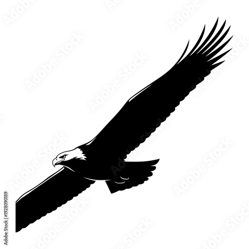 A large bird of prey soaring through the air