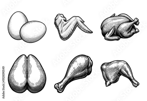 Set of chicken meat cuts and eggs in vintage woodcut style, featuring whole bird, drumstick, wing, breast, and leg quarter on a white background.