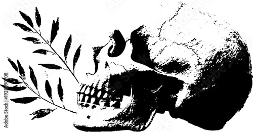 Skull with laurel wreath in high-contrast black and white ink illustration