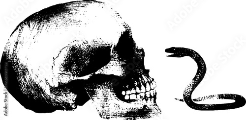Skull and serpent in high contrast ink drawing - gothic art for wall decoration