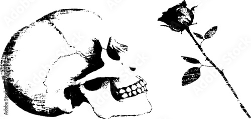 High contrast black and white skull with rose ink artwork
