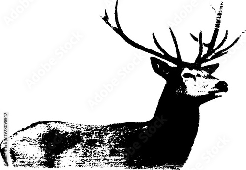 Majestic stag with laurel wreath in high contrast black and white ink design