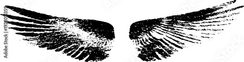 Minimalist high contrast black and white ink illustration of wings for artistic design