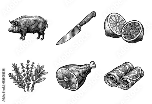 Vintage engraving style collection of pork meat cuts, whole pig, kitchen knife, citrus fruit, and fresh garden herbs for culinary design.