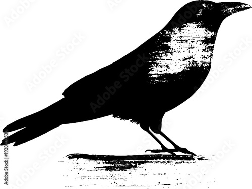 Vintage raven silhouette with banner emblem for retro design projects